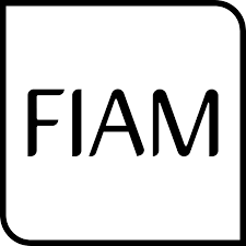 Odoo • Image and Text